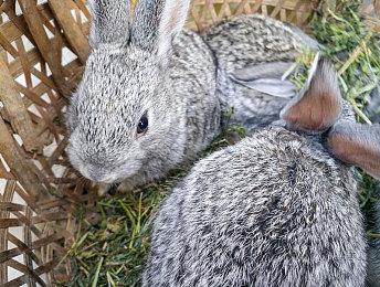 万代欧洲收购《海岛大亨6》开发商大多数股权